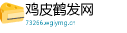 鸡皮鹤发网 鸡皮鹤发网